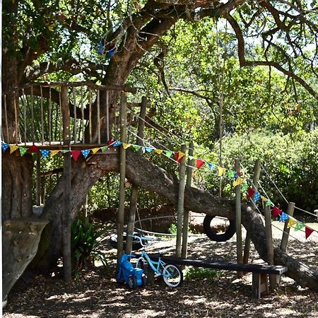Shepherd'S Tree Backpackers كنيسنا المظهر الخارجي الصورة